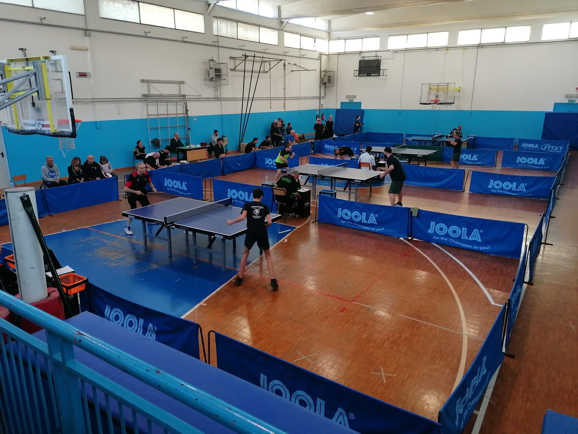 Palestra Sasso Marconi