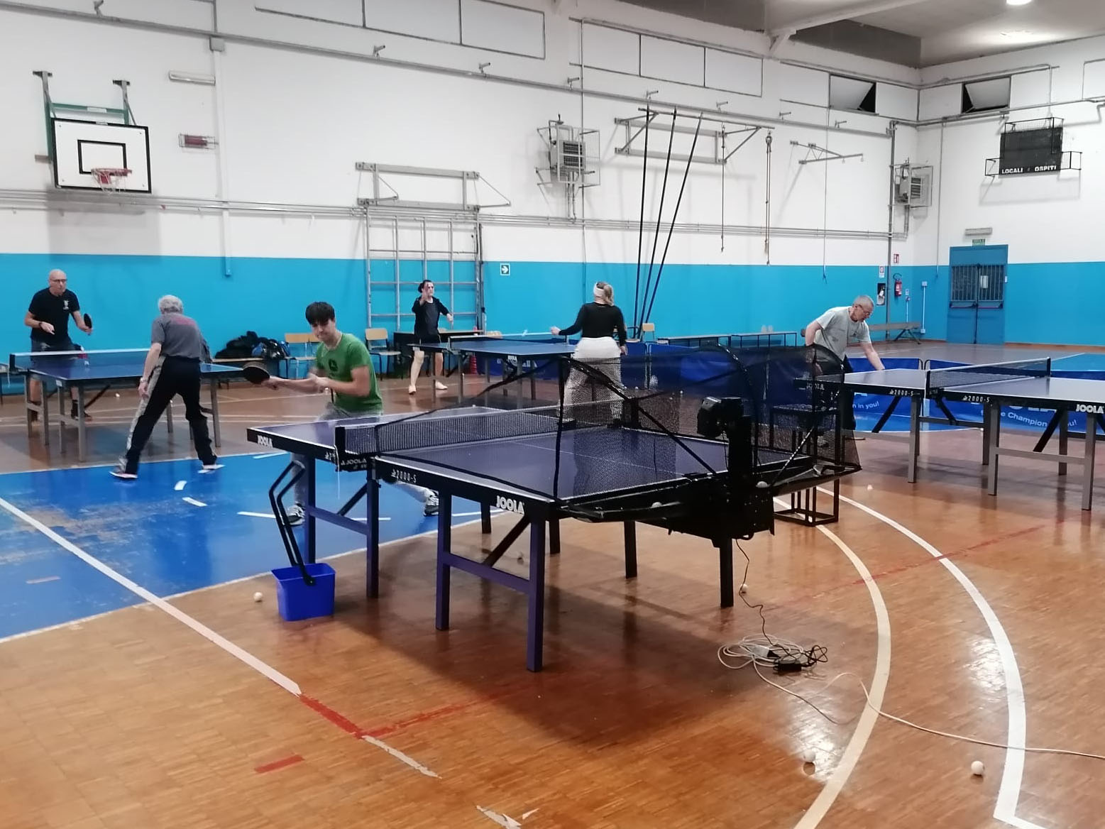 Palestra Sasso Marconi